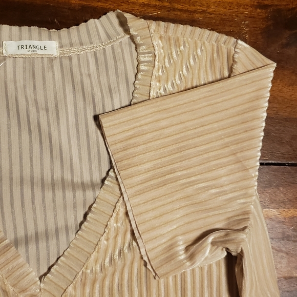 Velvet V-Neck Top - Picture 3 of 3